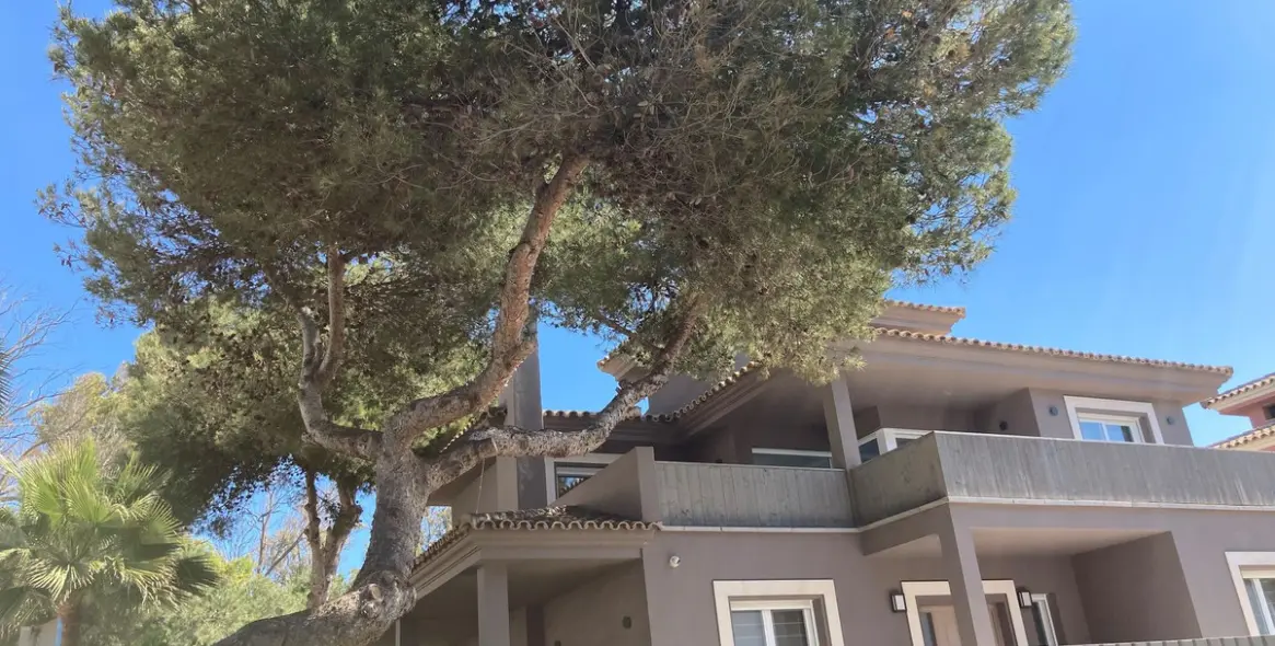 Продажа  отдельно стоящей виллы в Marbella East (район Elviria) 9