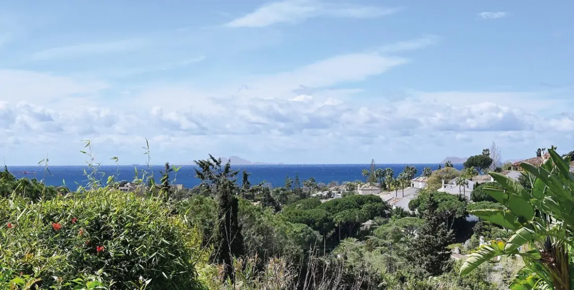 Продажа  отдельно стоящей виллы в Marbella East (район Elviria) 2