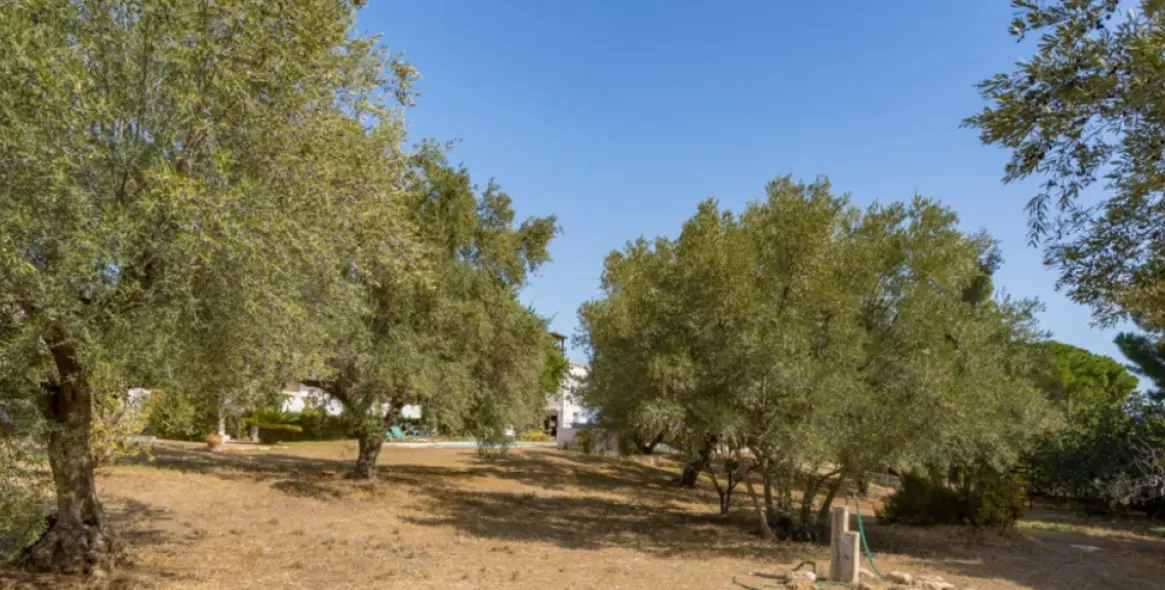 Продажа  отдельно стоящей виллы в Torremolinos 7