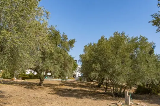 Image 7 thumb