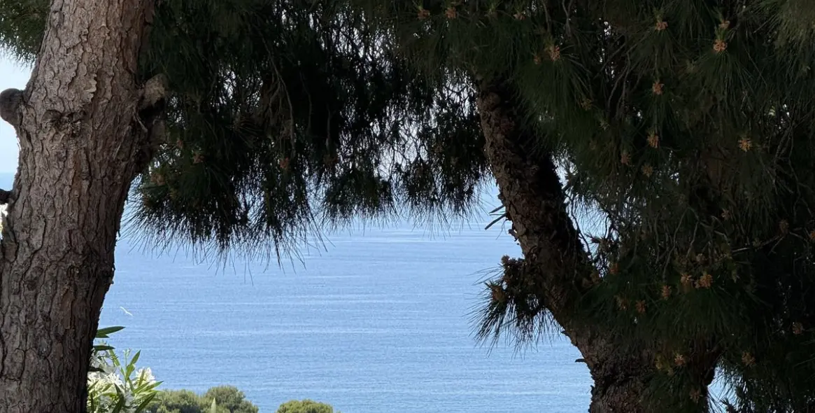 Sale of detached villa in Riviera del Sol 49