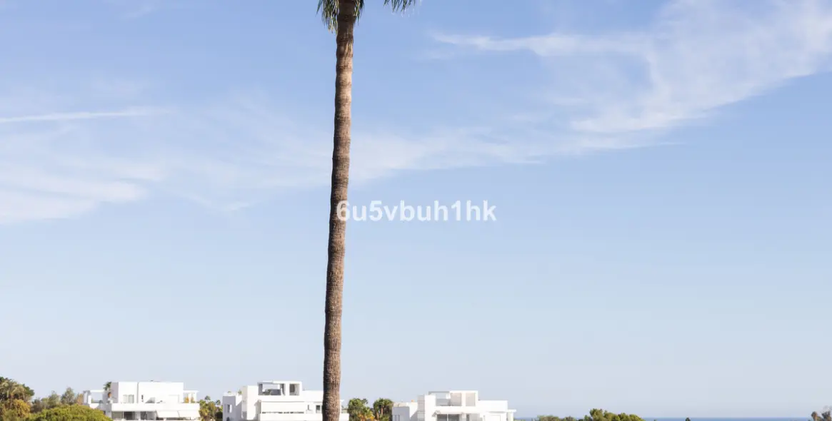 Продажа  отдельно стоящей виллы в La Quinta 26