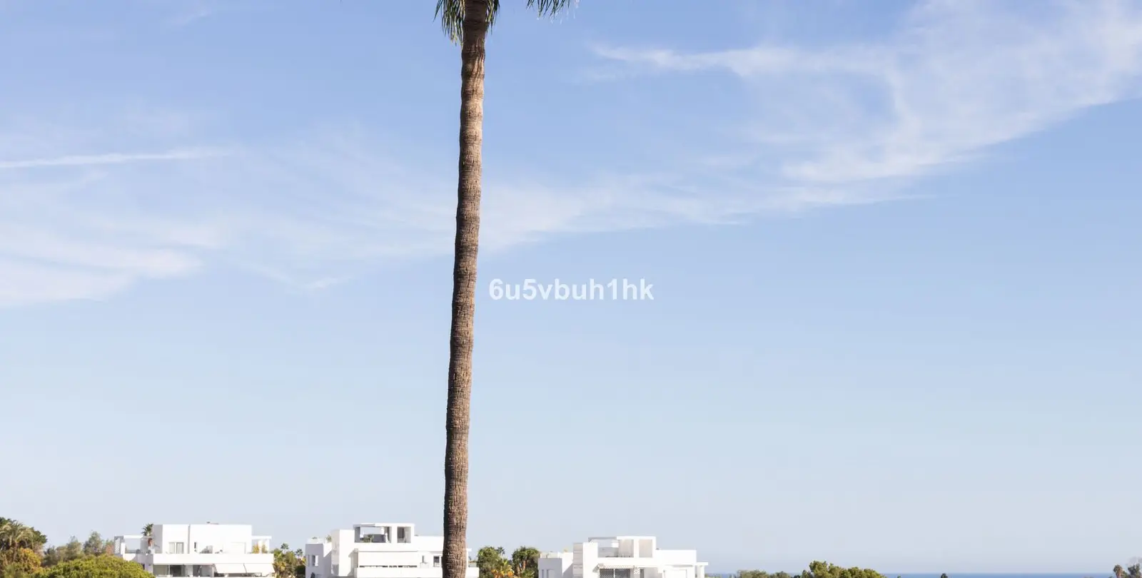 Venta de villa independiente en La Quinta 26