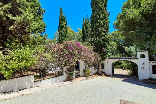 Image 8 thumb