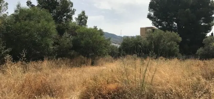 Residential plot R3258973 3