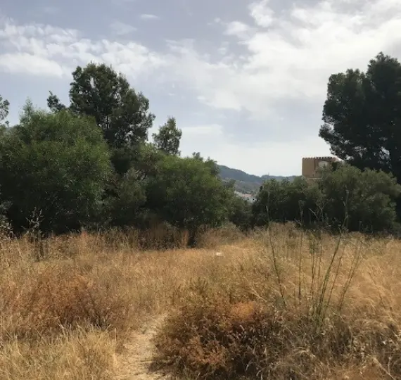 Residential plot R3258973