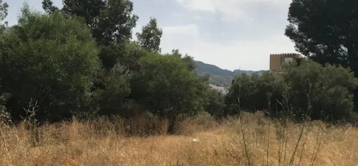 Residential plot R3258973 4