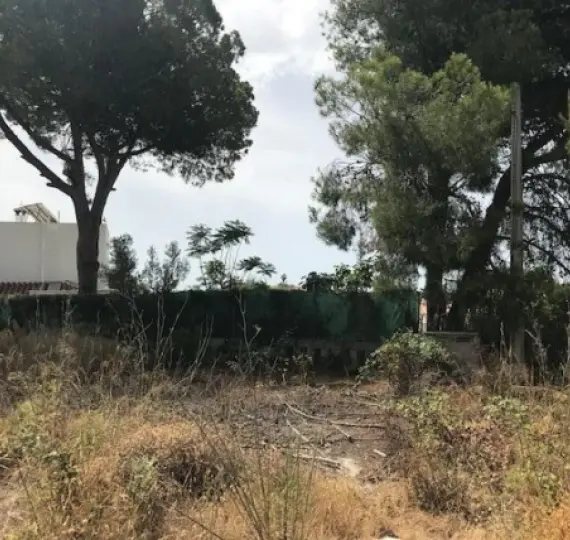 Residential plot R3258973