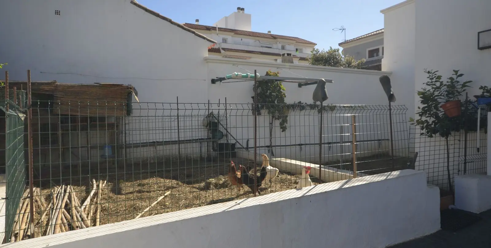 Sale of detached villa in Manilva 30