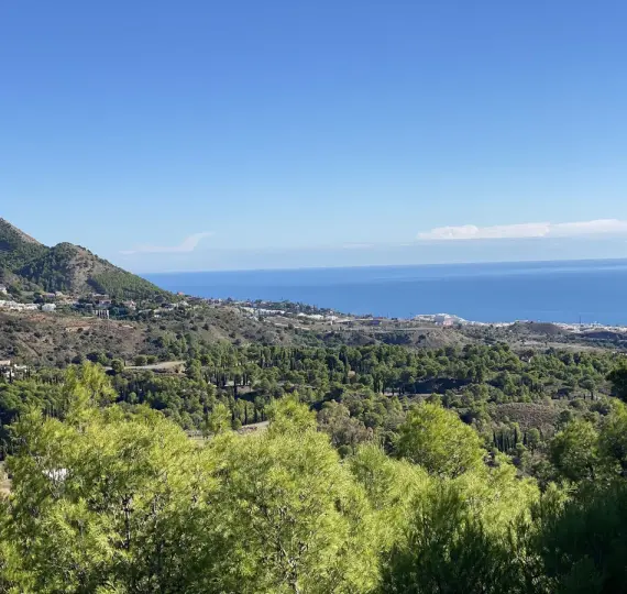 Продажа  отдельно стоящей виллы в Mijas