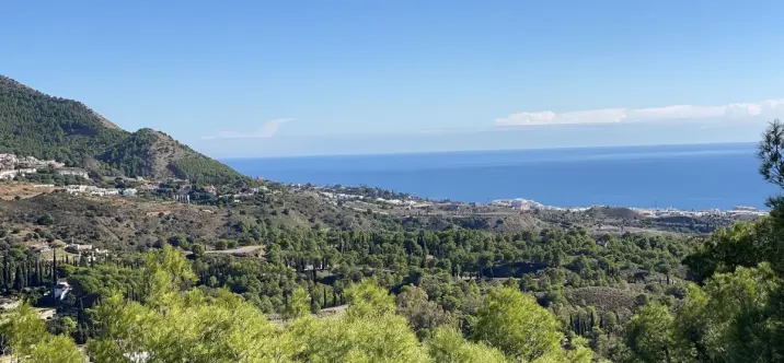 Продажа  отдельно стоящей виллы в Mijas 1