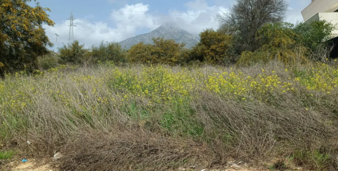 Продажа  жилого участка в The Golden Mile 3