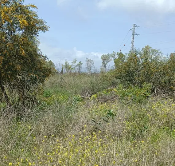 Venta de parcela residencial en The Golden Mile