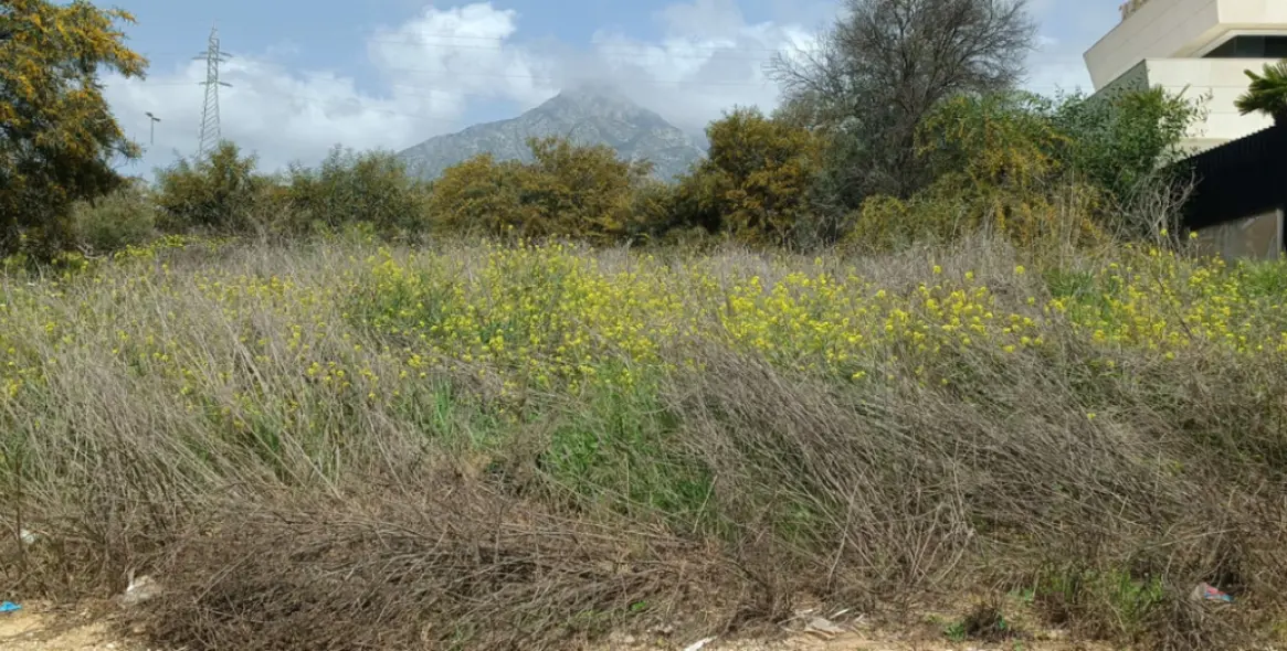 Продажа  жилого участка в The Golden Mile 5