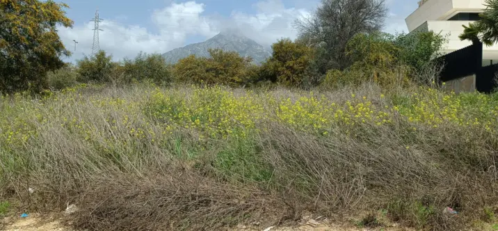 Venta de parcela residencial en The Golden Mile 4