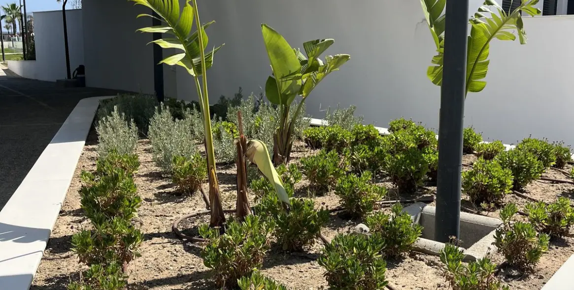 Sale of penthouse in Torremolinos 77