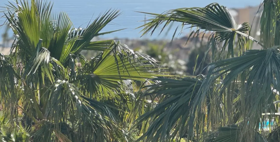 Продажа  отдельно стоящей виллы в Fuengirola 31