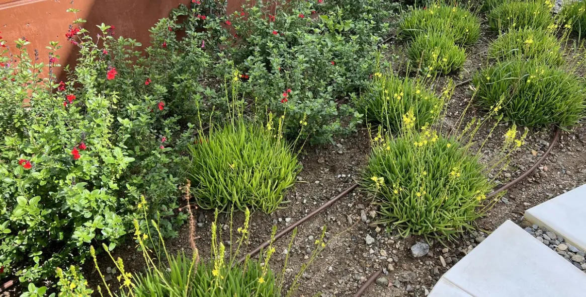 Продажа  отдельно стоящей виллы в Fuengirola 47