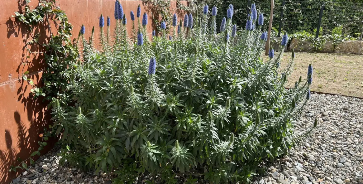 Продажа  отдельно стоящей виллы в Fuengirola 49