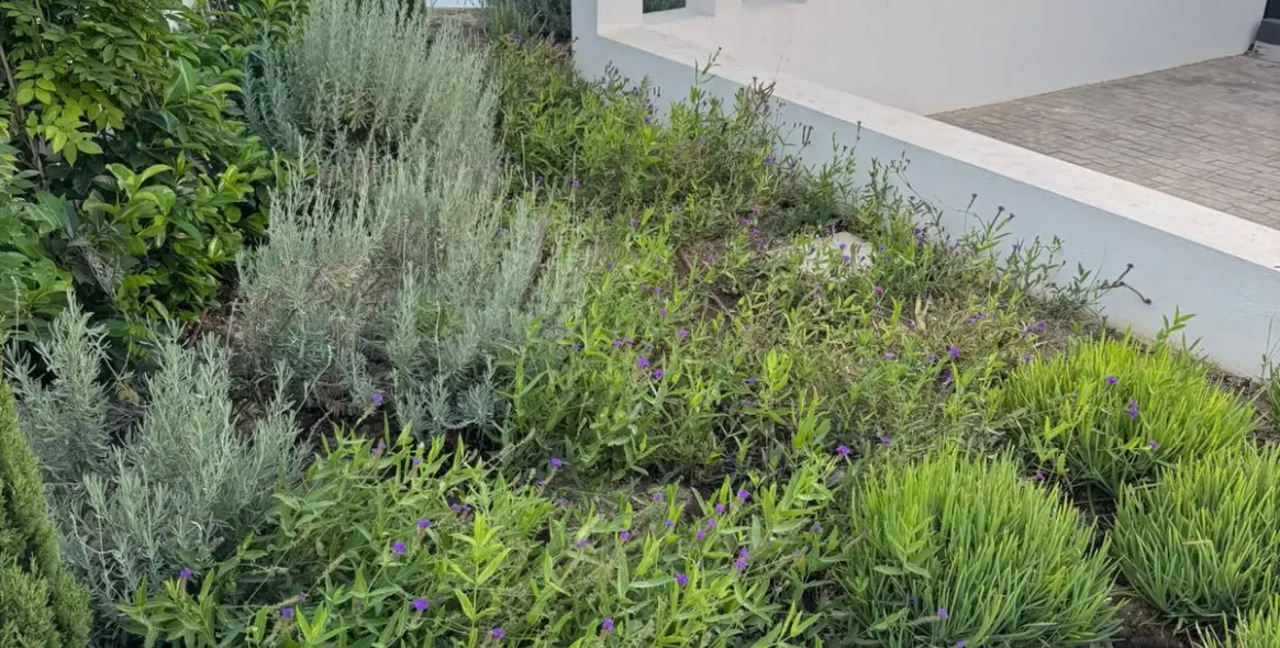 Продажа  отдельно стоящей виллы в Fuengirola 51