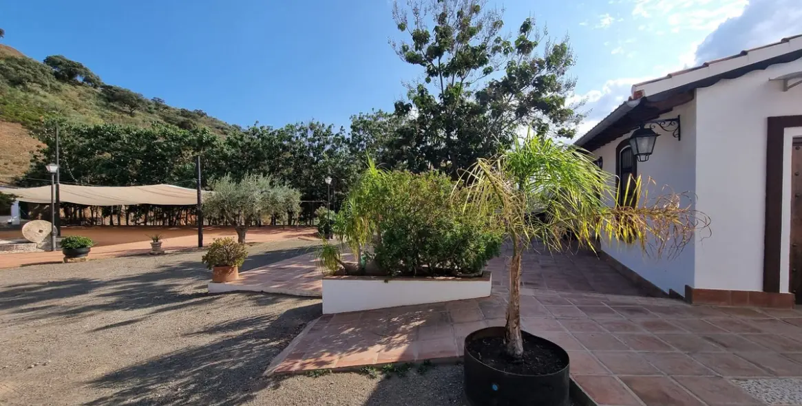 Sale of finca - cortijo in Malaga (district Provincia de Málaga) 4