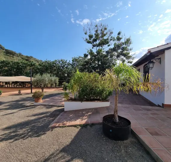 Finca - cortijo R4579891