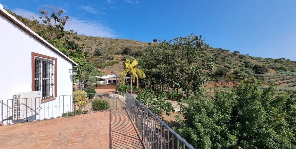 Sale of finca - cortijo in Malaga (district Provincia de Málaga) 6
