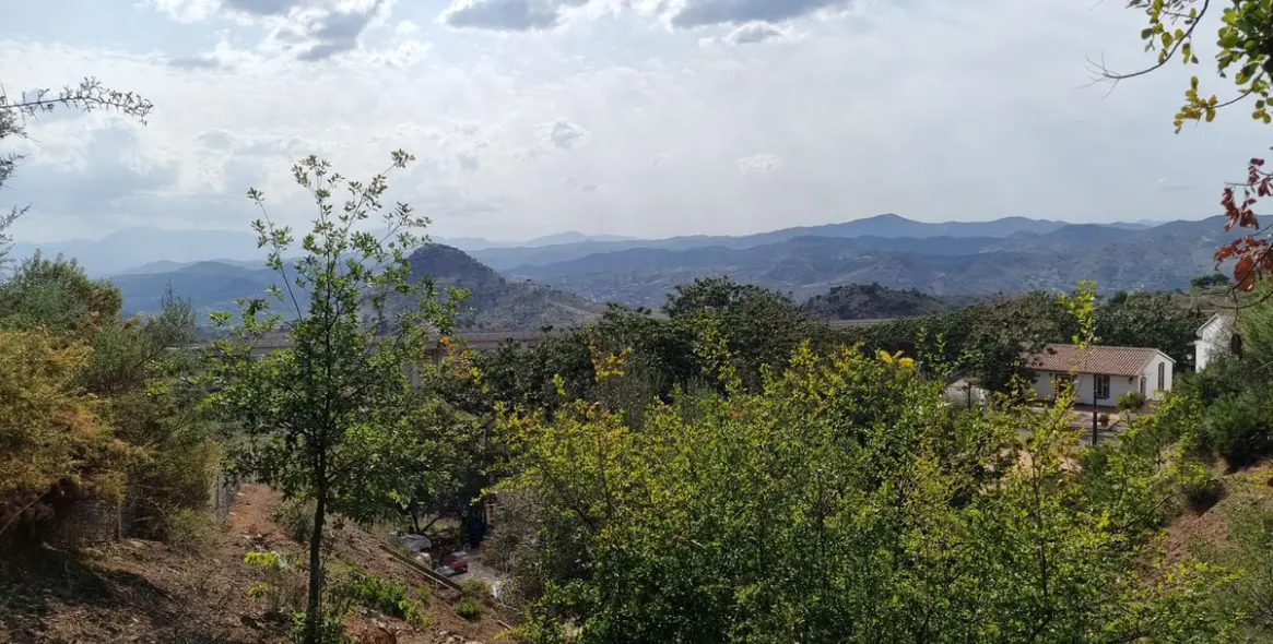 Sale of finca - cortijo in Malaga (district Provincia de Málaga) 10