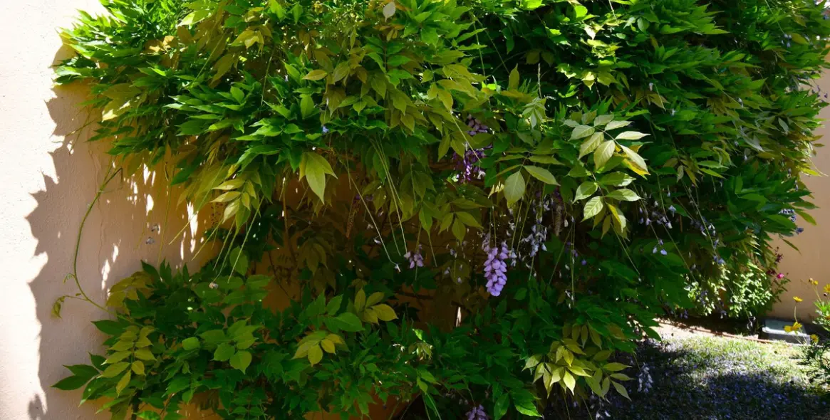 Venta de villa independiente en Mijas Golf 95