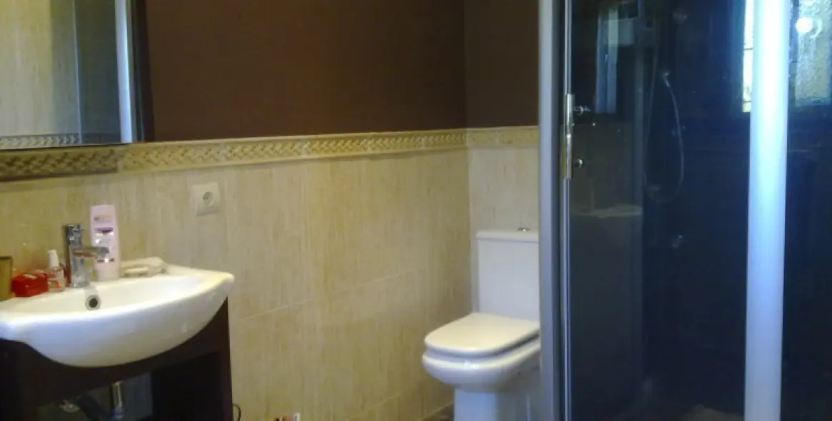 Sale of detached villa in Nueva Andalucía 13