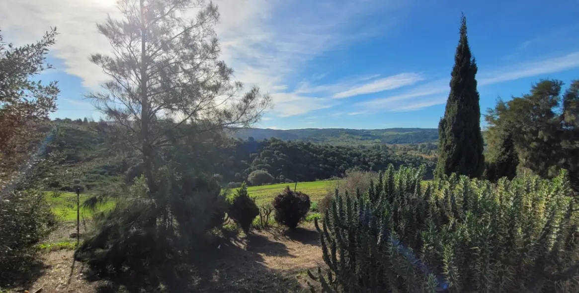 Продажа  отдельно стоящей виллы в San Martín de Tesorillo 14