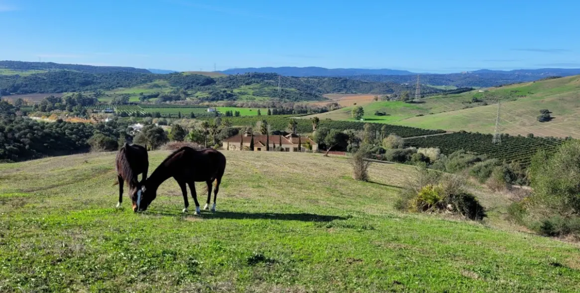 Продажа  отдельно стоящей виллы в San Martín de Tesorillo 16