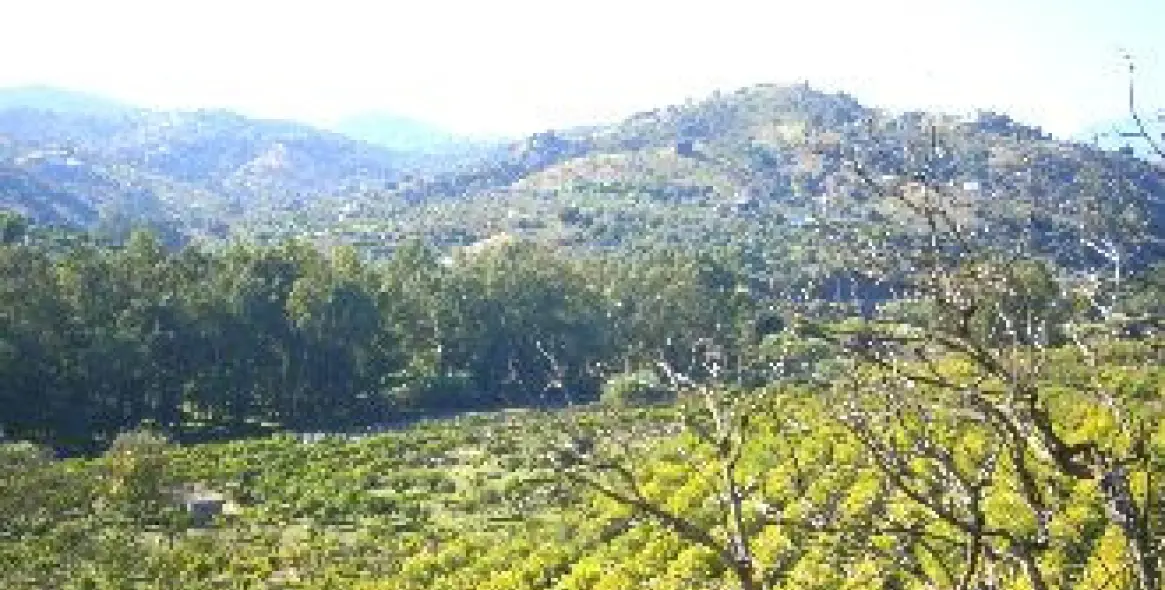 Venta de villa independiente en Coín 21