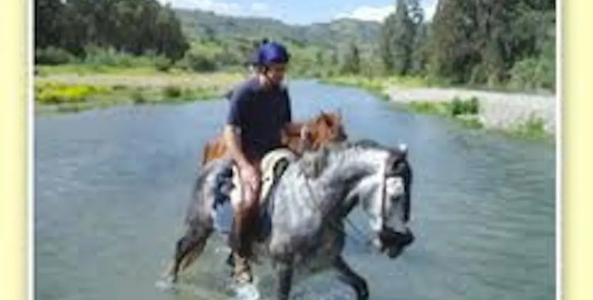 Venta de villa independiente en Coín 35