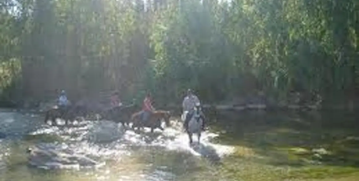 Venta de villa independiente en Coín 36