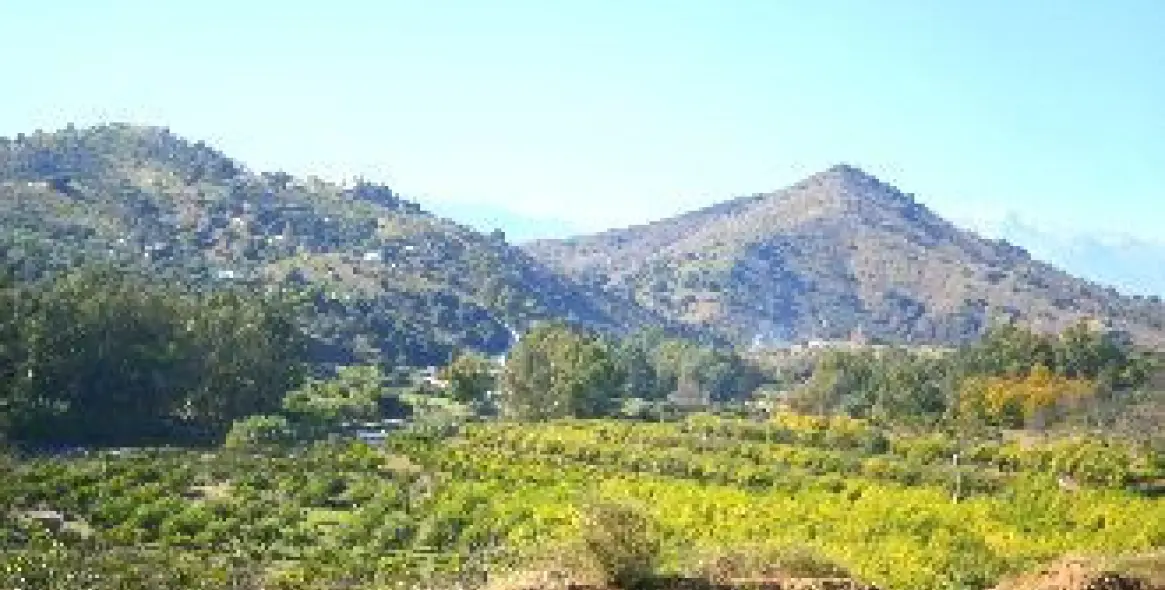 Venta de villa independiente en Coín 24