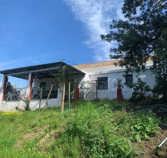 Venta de finca - cortijo en Mijas