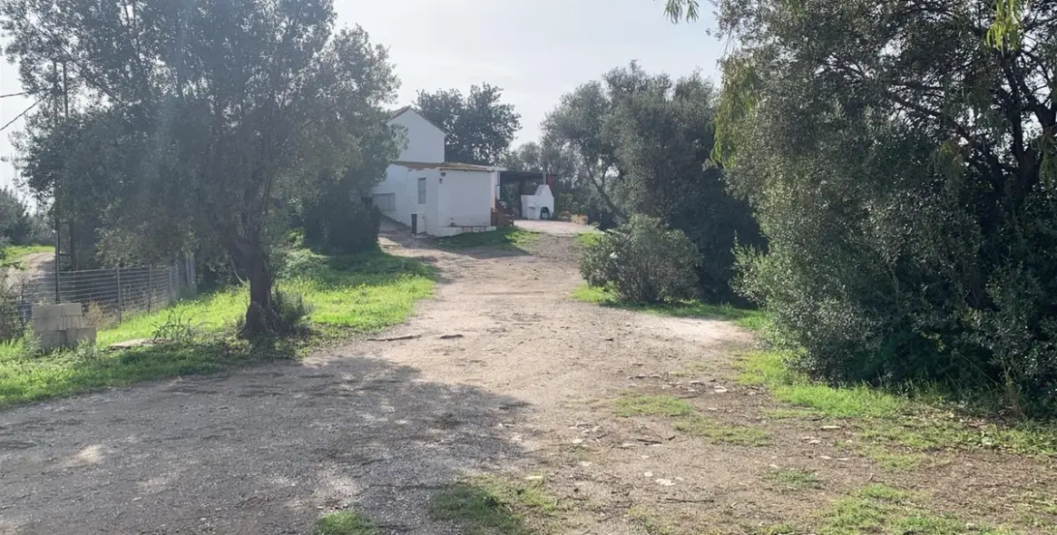 Venta de finca - cortijo en Mijas 9