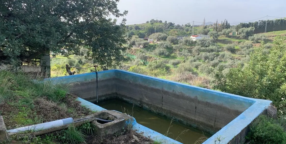 Venta de finca - cortijo en Mijas 10