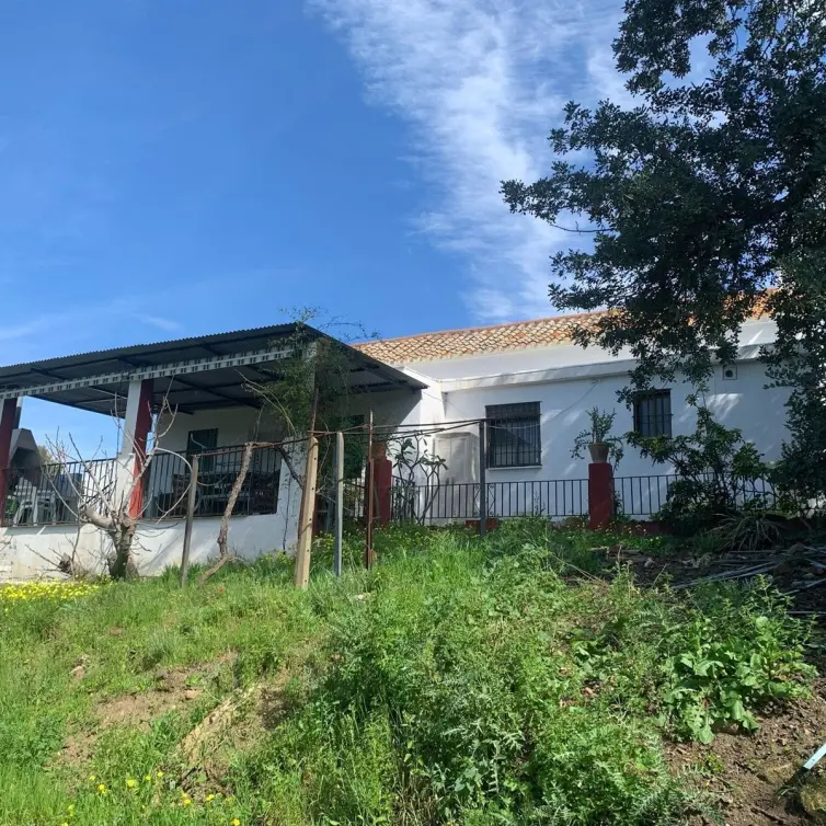 Sale of finca - cortijo in Mijas