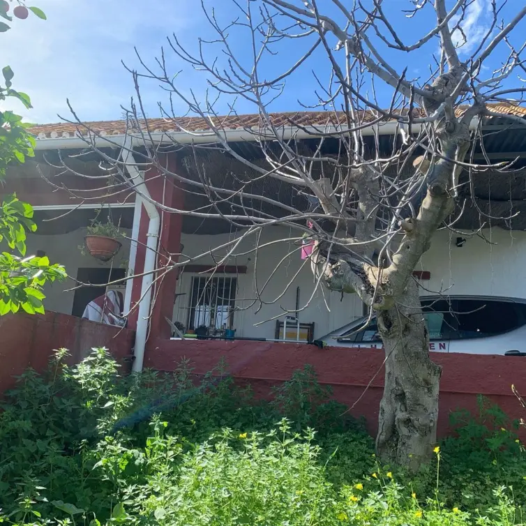 Sale of finca - cortijo in Mijas