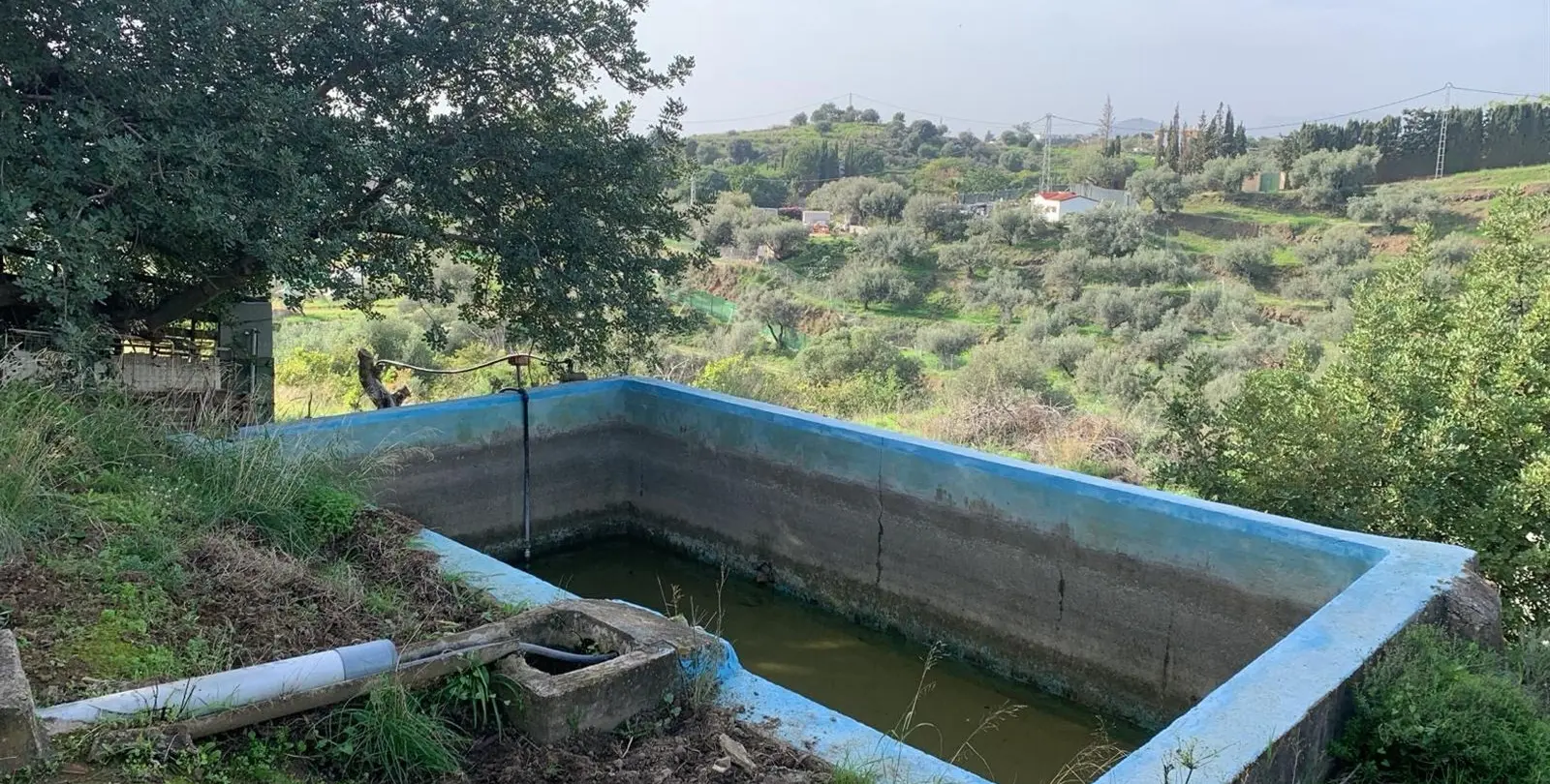 Sale of finca - cortijo in Mijas 10