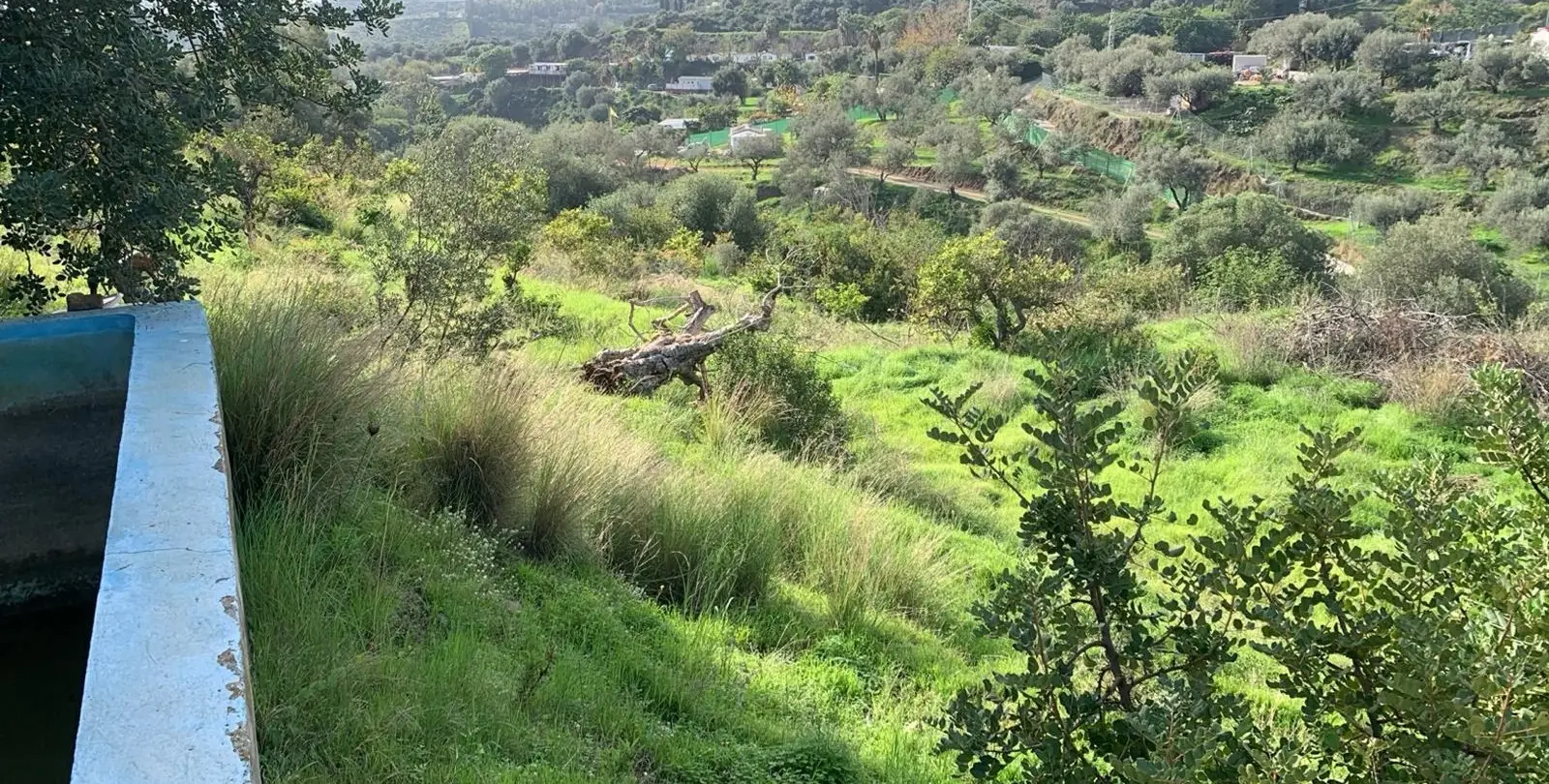 Sale of finca - cortijo in Mijas 12