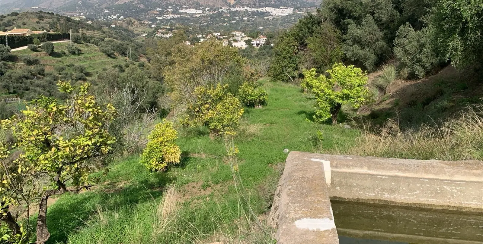 Sale of finca - cortijo in Mijas 15
