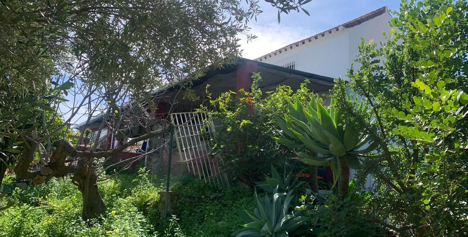 Sale of finca - cortijo in Mijas 19