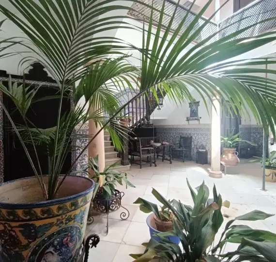 Sale of detached villa in Ronda