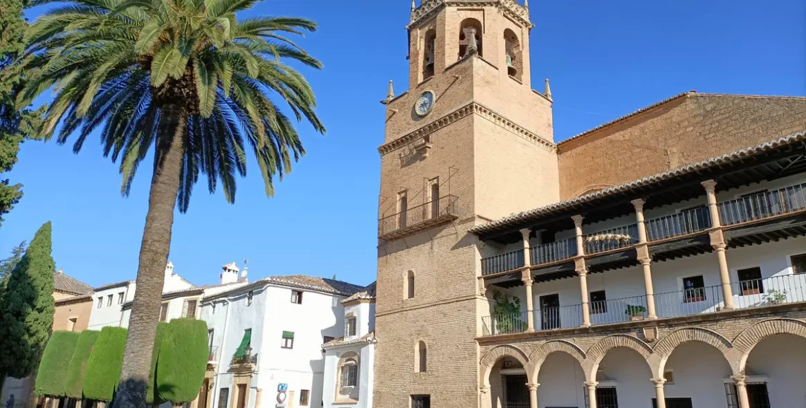 Sale of detached villa in Ronda 29