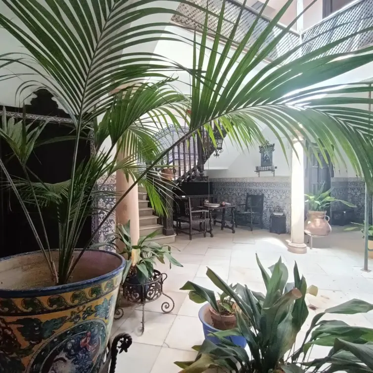Sale of detached villa in Ronda