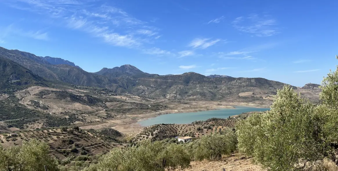 Продажа  жилого участка в Ronda 7