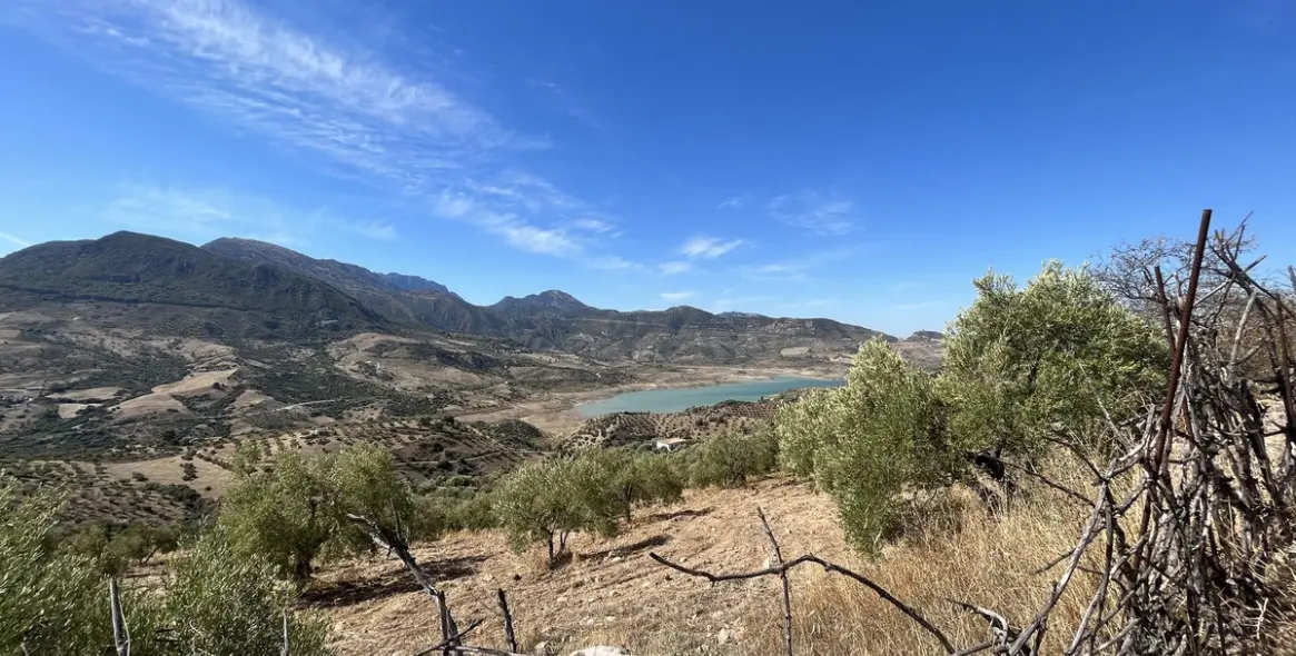 Продажа  жилого участка в Ronda 8